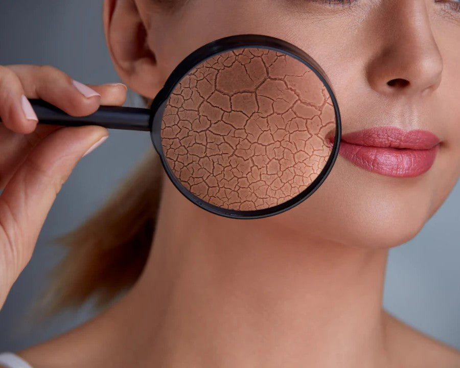 New Cacti Serum Discovery Can Protect from Drying