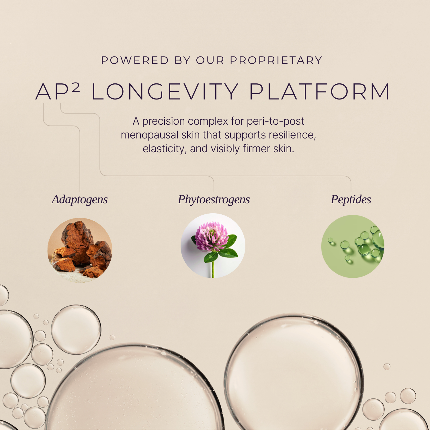 Replenishing Night Cream Tx