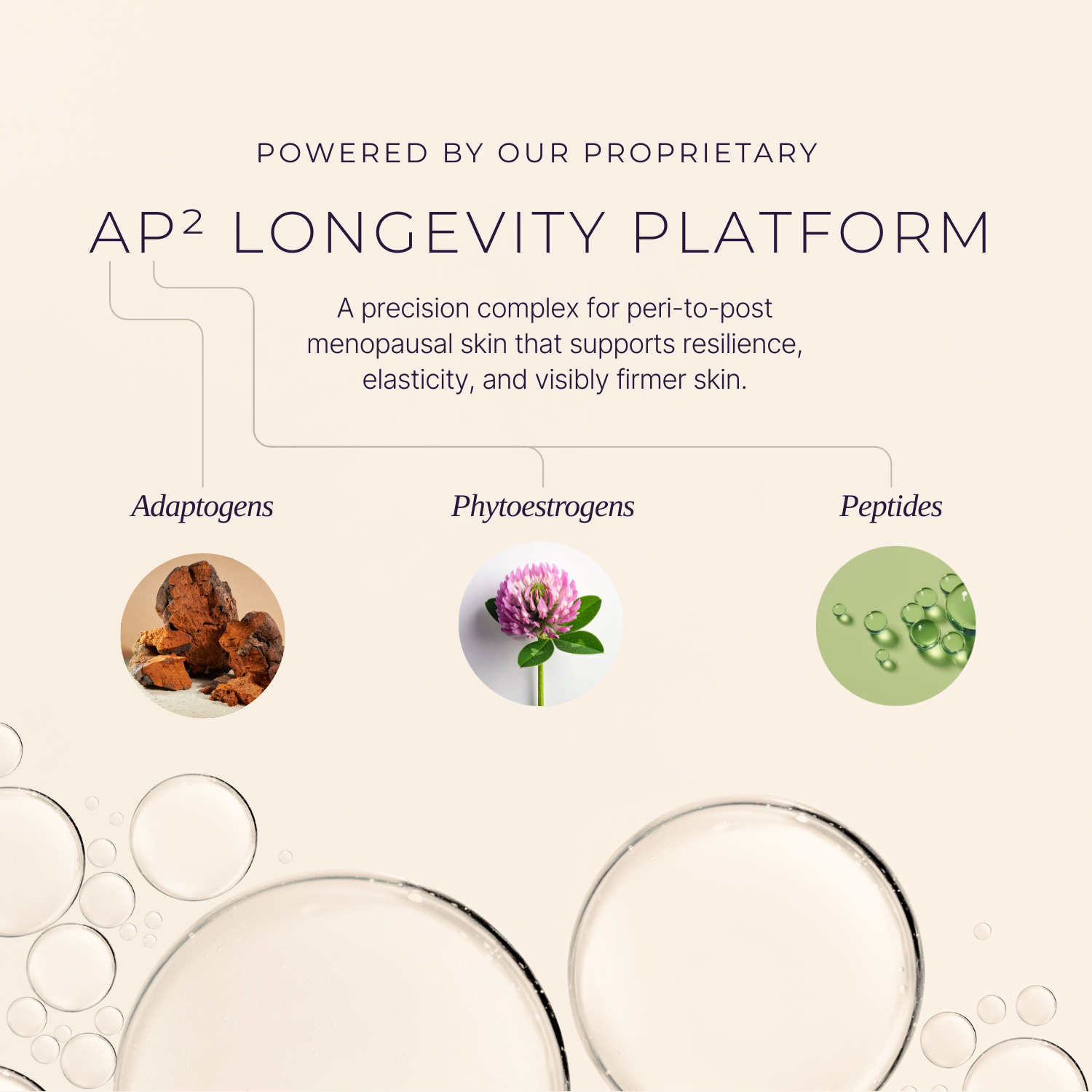 Collagen Boosting Serum Tx